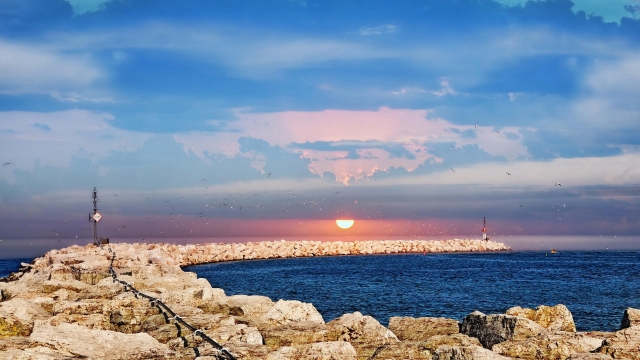 开云:乒乓球台规范